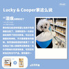 羽衣甘蓝冻干粉 商品缩略图8