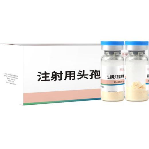 【积分兑换】华畜头孢噻呋钠兽用注射用液0.5g*10支牛羊针剂消炎药 商品图9