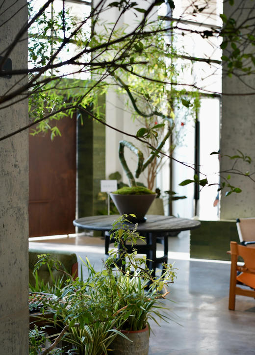 老米优品🎈3-5天！夏日风里的诗意《纯植物印染苎麻衬衫》慵懒灯笼袖，自带呼吸感，植物印染的繁花，是大自然的笔触~CY250629A 下架 商品图5