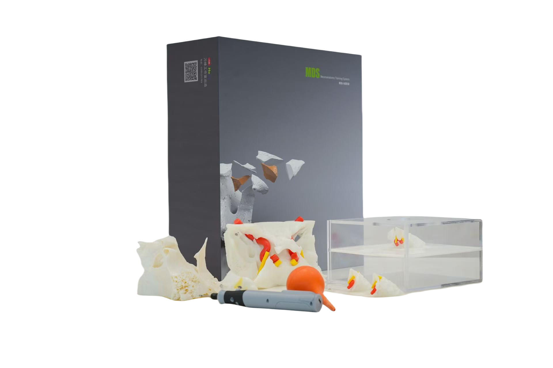 蝶骨小翼学习套装