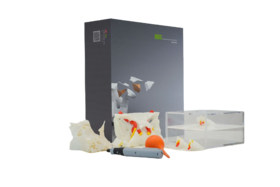 蝶骨小翼学习套装