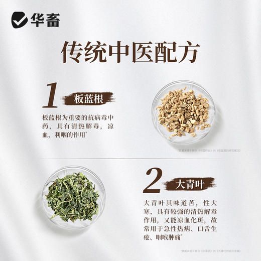 华畜板青颗粒 清热解毒凉血利咽 溶水性强 禽畜孕畜通用 商品图2