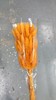 干花 | 兔尾草橙色 商品缩略图0