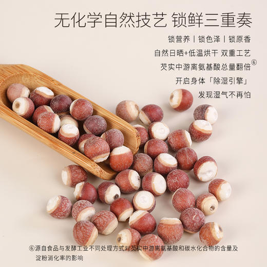 正安 肇庆红皮芡实 粒大饱满粉糯清香优质原材 脾胃湿气汤方办公室茶饮芡实米煲汤食材家庭粥羹 芡实400g/罐 商品图8