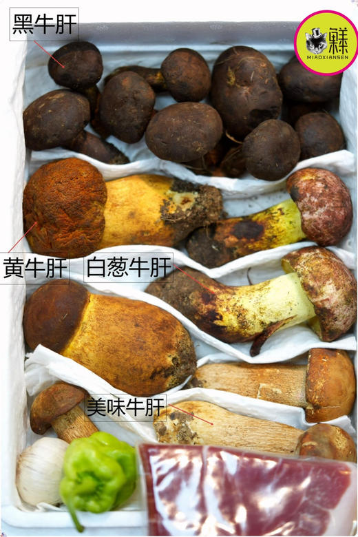 【山野致味】野生菌组合拼装礼盒1kg装✈️顺丰空运包邮（每一箱赠送3年诺邓火腿+螺丝椒+紫皮蒜） 商品图8