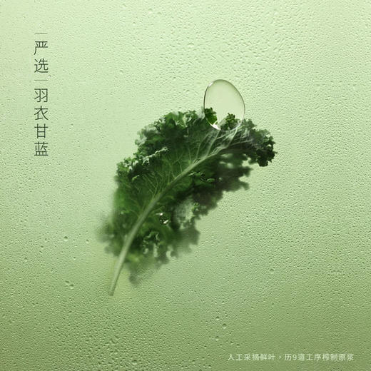 MM 山姆 喜茶 羽衣甘蓝青瓜复合果蔬汁饮料 330ml*12 商品图7