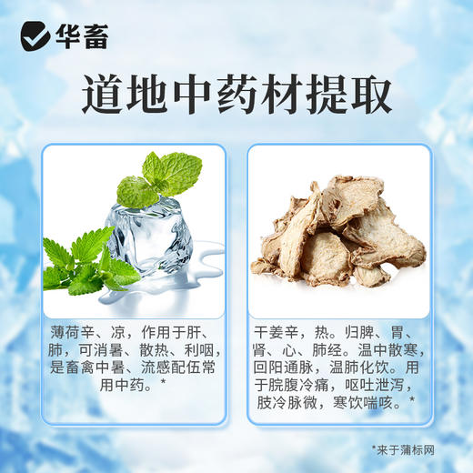华畜 百草消暑液500ml 清凉解暑抗应激减少腹泻中暑不吃食 商品图1