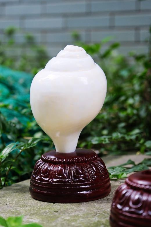 新款木质实木底座海螺专用底座大海螺配套摆件底座 商品图0