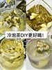 19.9到手60包机杼堂青提茉莉冷泡茶花果香和茶香巨清新我能喝一整个夏天夏天多加点冰块冰冰凉凉基地直邮 商品缩略图2