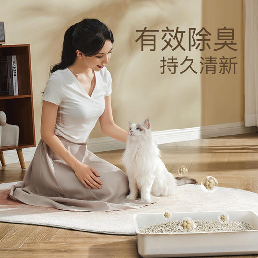 neo天净猫砂豆腐除臭去味猫砂原味T4混合猫砂2.7Kg 商品图3