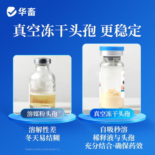 【积分兑换】华畜头孢噻呋钠兽用注射用液0.5g*10支牛羊针剂消炎药 商品图2