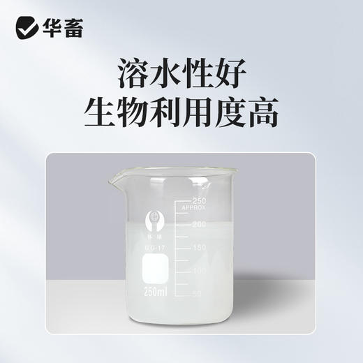 华畜水溶型阿苯达唑伊维菌素 可拌料可兑水 猪牛羊鸡鸭鹅通用 商品图2