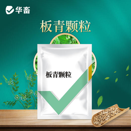 华畜板青颗粒 清热解毒凉血利咽 溶水性强 禽畜孕畜通用 商品图0