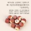 正安 肇庆红皮芡实 粒大饱满粉糯清香优质原材 脾胃湿气汤方办公室茶饮芡实米煲汤食材家庭粥羹 芡实400g/罐 商品缩略图4