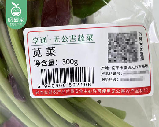 春菜-享通绿色苋菜*2包（300g±15g/包） 商品图3