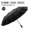 防晒自动超扎实12双龙骨防紫外线雨伞遮阳伞 商品缩略图4
