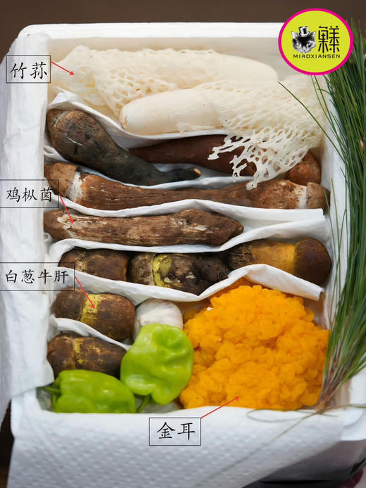 【山野致味】野生菌组合拼装礼盒1kg装✈️顺丰空运包邮（每一箱赠送3年诺邓火腿+螺丝椒+紫皮蒜） 商品图4