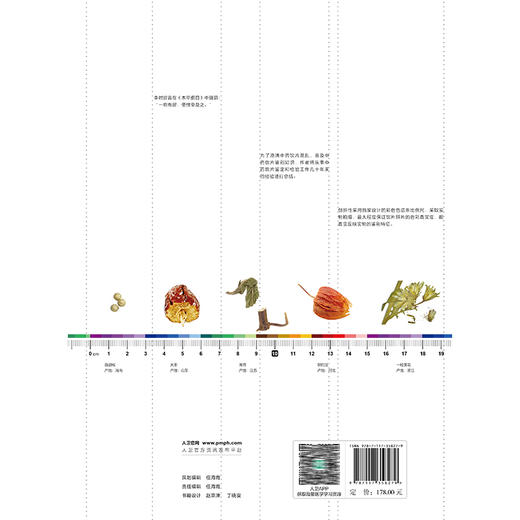 中药饮片高清图鉴中册 果实种子及全草类 刘春生 李飞 王丽霞 中药饮片采收加工炮制方法功能主治 人民卫生出版社9787117358279 商品图2