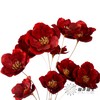 永生花 | 银珍花红 商品缩略图1