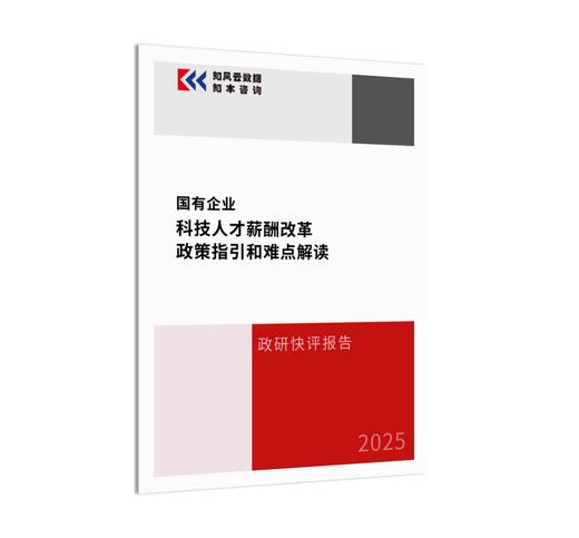 政研快评报告 | 国有企业科技人才薪酬改革政策指引和难点解读（2025） 商品图1