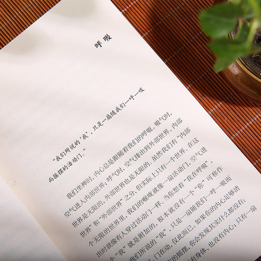 禅者的初心全二册---在喧嚣中觉醒，回归生命的澄明 商品图1