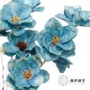 永生花 | 银珍花蓝 商品缩略图0