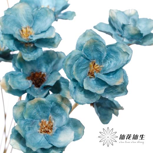 永生花 | 银珍花蓝 商品图0