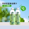 版纳雨林 NFC鲜榨羽衣甘蓝果蔬汁礼盒1L*4（包装随机发货） 商品缩略图2