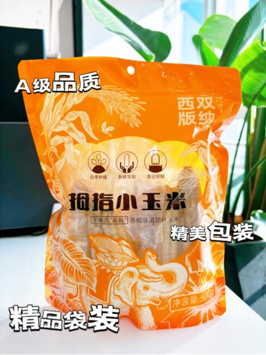 【拇指小玉米精品袋装】🌽零食新选择👏蔬菜界的零食新星👉 小身材大美味！❤吃出棒棒好心情！ 商品图0