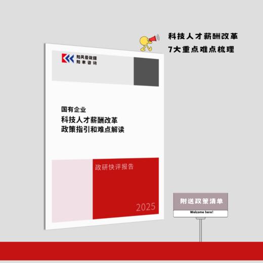政研快评报告 | 国有企业科技人才薪酬改革政策指引和难点解读（2025） 商品图0