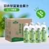 版纳雨林 NFC鲜榨羽衣甘蓝果蔬汁礼盒1L*4（包装随机发货） 商品缩略图1