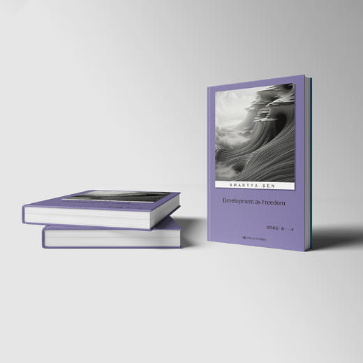 《以自由看待发展》 商品图10