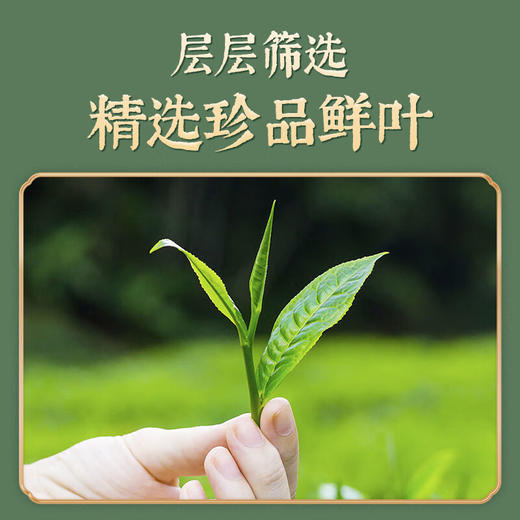 贵茶叶 2025春茶绿宝石特级多彩礼盒180克 贵州绿茶端午父亲节送礼 绿宝石多彩礼盒 180g*1盒 【特级】 商品图7