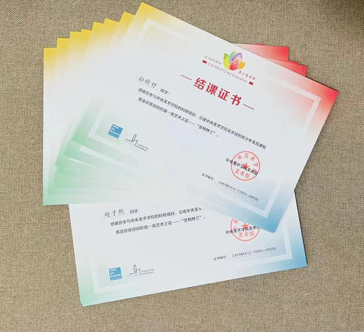 中央美术学院 美术馆青少年美育科研项目 商品图1