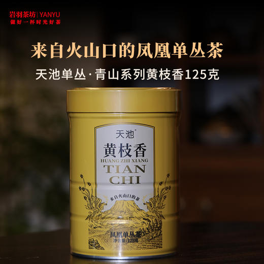 天池单丛青山系列黄枝香乌龙茶栀子香茶叶香水茶高香春茶单枞 商品图0
