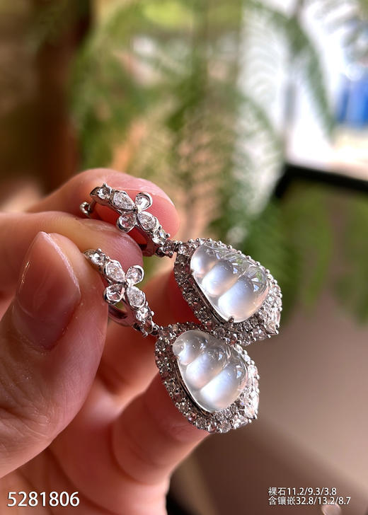 5281806，福豆耳坠。具体价格微信咨询 商品图1