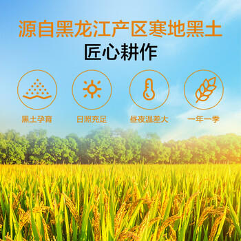 1号会员店（One's Member）东北大米珍珠米5kg  当季新米 圆粒米 京东自营 /粮油调味 /米 /珍珠米 商品图6