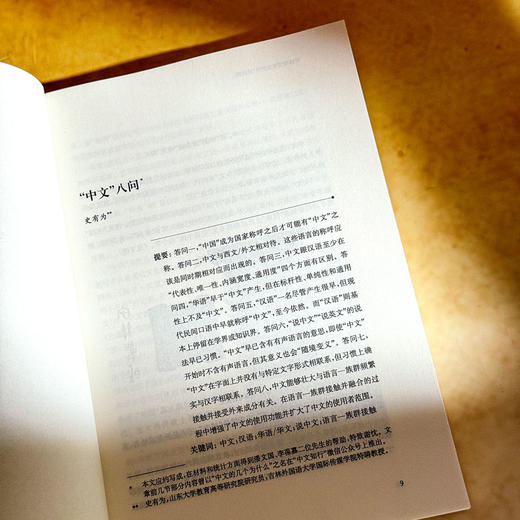 中文回溯与前瞻 全球中文发展研究 第四辑 商品图9