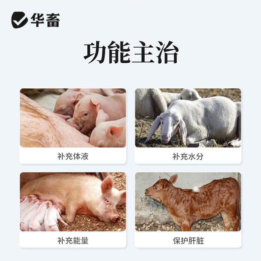 华畜兽药葡萄糖注射液兽用猪牛羊低血糖口服输液利尿补充体能 商品图1