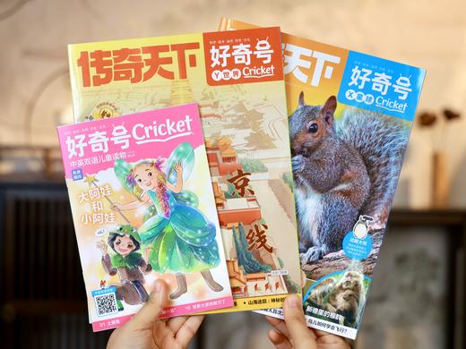 【十点独家赠超值大礼包！】《好奇号》年刊订阅 每月3册共36册 给孩子一整年的人文+历史+科学滋养 商品图7