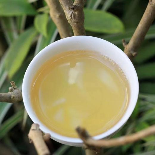 2020年古六山 攸乐龙珠 茶性较烈 口感独特 生茶 150g 商品图2