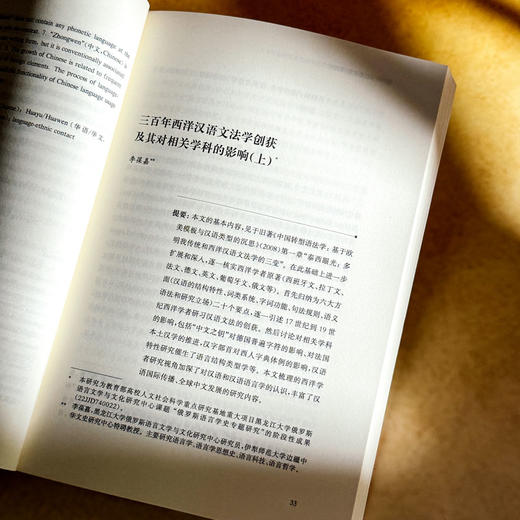 中文回溯与前瞻 全球中文发展研究 第四辑 商品图11