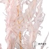 永生花材 | 凤尾撅粉 商品缩略图3