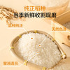 1号会员店（One's Member）东北大米珍珠米5kg  当季新米 圆粒米 京东自营 /粮油调味 /米 /珍珠米 商品缩略图3