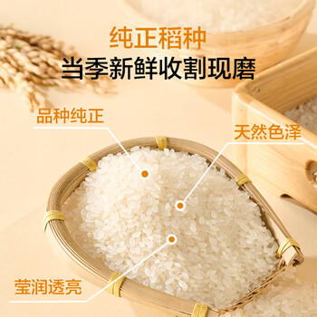 1号会员店（One's Member）东北大米珍珠米5kg  当季新米 圆粒米 京东自营 /粮油调味 /米 /珍珠米 商品图3