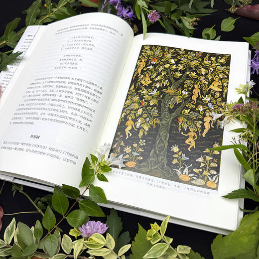 魔法森林：诗意地构建时间开始之前的世界 | 森林是自然的圣殿、神话的温床、人类集体潜意识的暗涌 商品图10