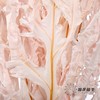 永生花材 | 凤尾撅粉 商品缩略图1