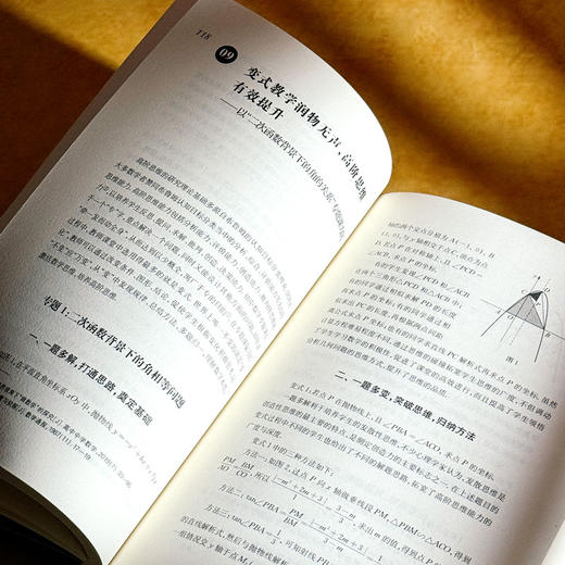 高阶思维的智慧教学 初中数学的典型课例 邵毓佳 初中数学教学 商品图10