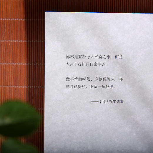 禅者的初心全二册---在喧嚣中觉醒，回归生命的澄明 商品图4