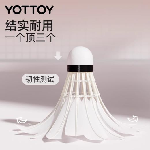 羽毛球耐打官方旗舰店专业训练球防风新款户外练习鹅毛/尼龙 商品图2